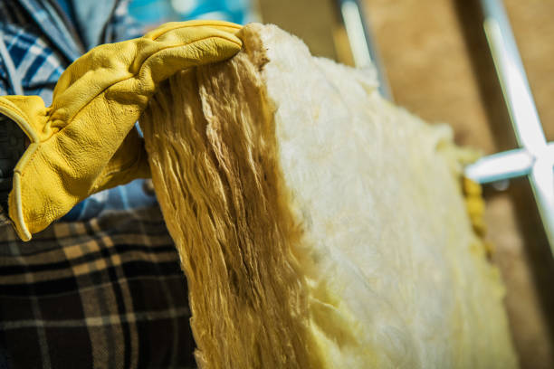 Best Insulation Replacement Services  in Plainfield Village, CT